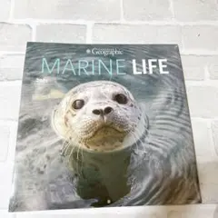 Item thumbnail for item f9756934-cdbd-4b6b-99db-64b72f777cf7