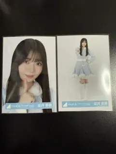 Item thumbnail for item 45e88ccc-3976-4cf7-8215-42ae92040100