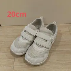 Item thumbnail for item f32f3103-3d53-4a00-9f8a-6fce47bf26e0