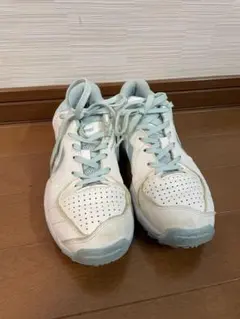 Item thumbnail for item 972f3b0d-897f-4d5d-a45b-e0a26b7e241f