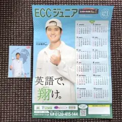 大谷翔平 カレンダー 2026年 ポストカードセット ポスターカレンダー