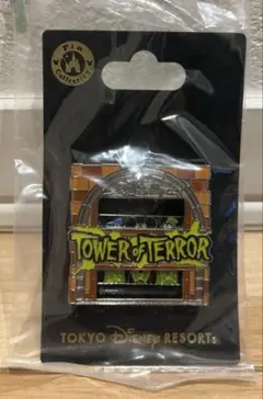 東京ディズニーシーの最恐アトラクション「タワー・オブ・テラー 【東京ディズニーシー】タワーオブテラー　ホテルハイタワー　ピンバッジフレーム　額