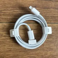 Apple Lightningケーブル ホワイト 標準的な長さ