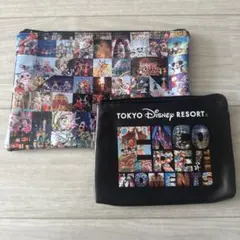 Disney TDR ディズニー ENCORE THE MOMENTS ポーチ