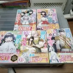 初版！透明カバー付！継母だけど娘が可愛すぎる 1-9巻セット 全巻