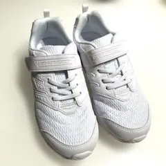 瞬足　23センチ