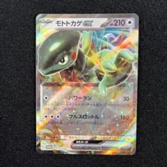 2026年最新】ポケモンカードゲームはじめようキャンペーンの人気