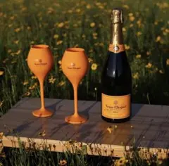 2026年最新】ヴーヴ・クリコ グラスの人気アイテム - メルカリ