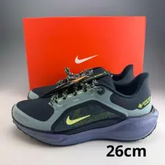 定価20130円 28.5㎝ NIKE VOMERO 18 GTX ゴアテックス - メルカリ