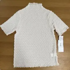 Item thumbnail for item b275e2d5-37b9-435c-8a8d-817a62c9cc98