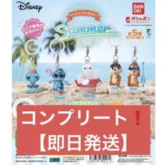 ディズニー めじるしアクセサリー Summer 全5種　コンプリート品