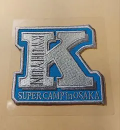 Item thumbnail for item 1bc48c8c-a3e9-4d7e-b077-8ed9810452d3