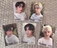 txt starkissed ユニバ特典　クリアトレカ5枚