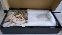 Item thumbnail for item 3c5e03ee-1b15-4d22-bdbb-46b84c2a1d35