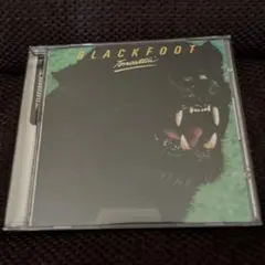 BLACKFOOT / Tomcattin'