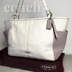 希少 coach コーチ オールレザー トートバッグ F31303 A4 大容量