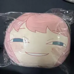 SPY×FAMILY アーニャ ぬいぐるみ 約20cm