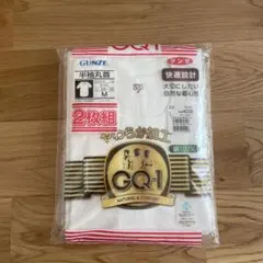 【新品未開封】グンゼ 綿100%メンズ肌着 半袖丸首 M 2枚組