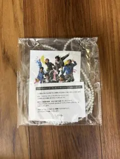 【新品】パルクロ　すっきゃねんず　ストラップ付きマルチケース