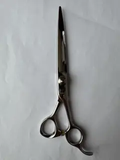 Item thumbnail for item 9bd7c496-949d-4a62-973c-6e8056e4c816