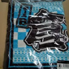 Item thumbnail for item 92040b29-8ee1-48bd-8076-016633310ea9