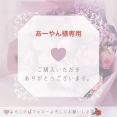 あーやん様専用