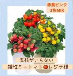 ヒロ様 リクエスト 2点 まとめ商品