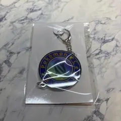 ポケモンレジェンズZA　メガシンカ　キーストーンキーホルダー