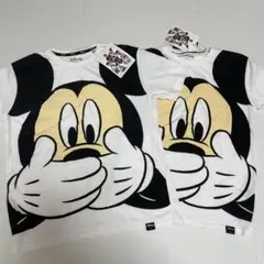 Item thumbnail for item d6a0466b-f7a9-4b6d-a288-5bd2f3079c58