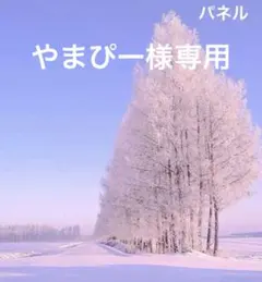 【やまぴー様専用】パネル 1/22