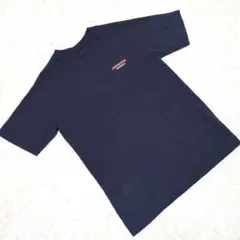 希少 ハワイ限定 パタゴニア Pataloha アイランドロゴ Tシャツ 紺 S