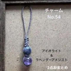 イロトリ鳥様 リクエスト 2点 まとめ商品