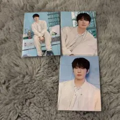 SEVENTEEN セブチ ウォヌ トレカ