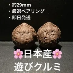 2026年最新】文玩核桃の人気アイテム - メルカリ