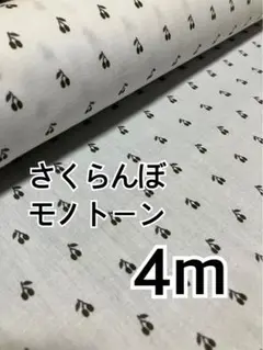 4m TCブロード さくらんぼ　モノトーン　ハギレ　生地