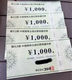 ビックカメラ コジマ 株主優待券 4000円分