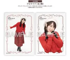 グラッテ 水樹奈々 ブロマイド 2種