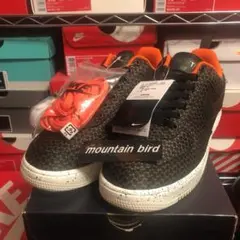 AF1 supreme north JORDAN off-white DUNK