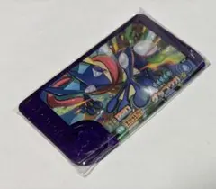 ポケモン　フレンダ　ゲッコウガ　スーパートレジャー