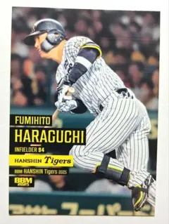 びびたん様 リクエスト 2点 まとめ商品