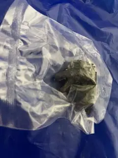 一番くじ ゴジラ 怪獣乱舞 -荒ぶるモノ- E賞 モンスターヘッドマグネット