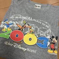 【Disney World ディズニーワールド ミッキー Tシャツ】　古着