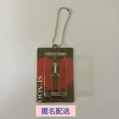 ENHYPEN　ソヌ　House of Vampire　アクリルキーリング　嫉妬