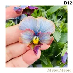 Sakuꕤ種おまけ付き:様 リクエスト 3点 まとめ商品