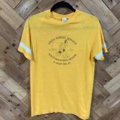 Champion u.s.d.a. forest service 80s T-s