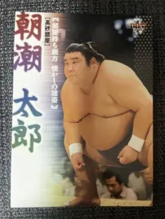 Item thumbnail for item b8ca21ed-fb50-4d47-b151-72409971c423