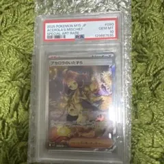 卡洛兒的惡作劇 SAR PSA10