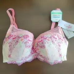 E70トリンプ天使のブラ　魔法のハリ感 ノンワイヤーブラ