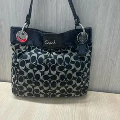 COACH コーチ 2WAYハンドバッグ アシュレイシグネチャー F17599