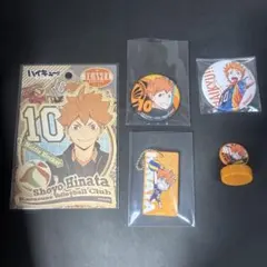ハイキュー 日向翔陽 ステッカー 缶バッジ キーホルダー